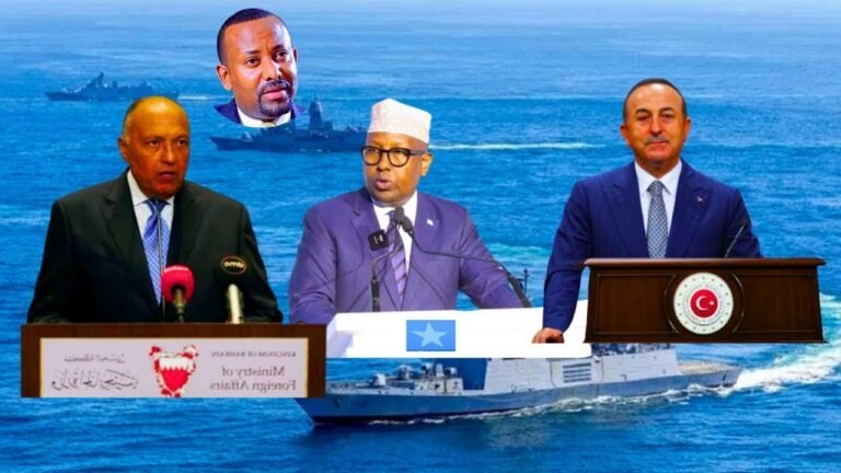 {DAAWO MUUQAALKA} Turkiga iyo Masar oo ku dhawaaqay ineey Garab istaagi Doonaan Soomaaliya.