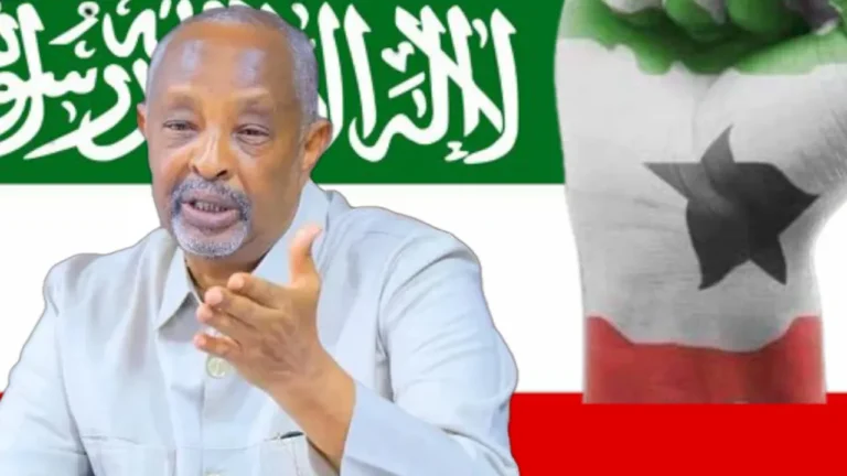 {DAAWO MUUQAALKA} Wasiir kaahin ”waxaan uga marag kacayaa in halgan adag oo nabadayn leh, uu ka soo qayb-qaatay”