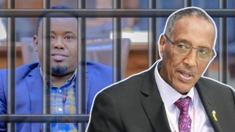 {DAAWO MUQAALKA} Maxaa kasoo kordhay Xariga Xildhibaan Maxamed Maxamed Abiib.?