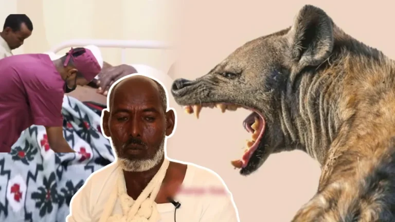 {DAAWO MUQAALKA} Waraabaha oo faro kulul waayadan ku haya deegaannada Puntland.