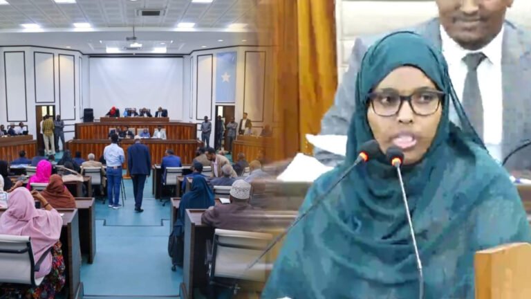 {DAAWO MUUQAALKA} Senator samsam “Waxaan Rabnaa in la Cadeeyo meesha ay ku Baxday Miisaaniyadii 2023”