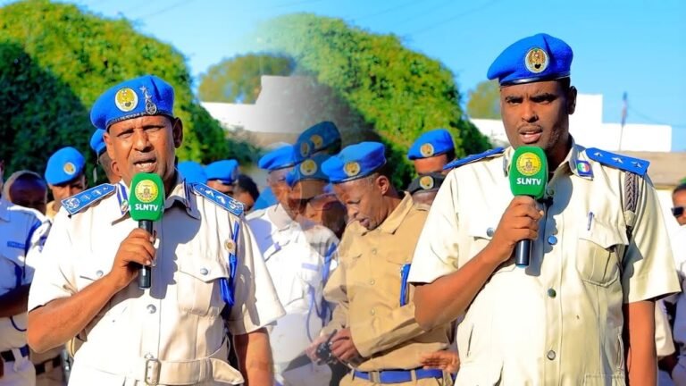 {DAAWO MUUQAALKA} Amaro La duldhigay Gaadiidka ay isticmaalayaan Xisbiyada Doorashada Soomaaliland