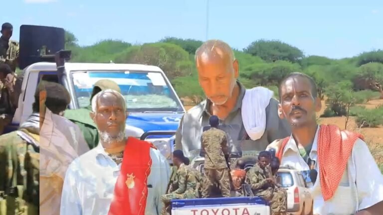 {DAAWO MUUQAALKA} Booliska Puntland oo gacanta ku so dhigey Rag mudooyinkii danbe ku Howlanaa Jarista dhirta qoyan..