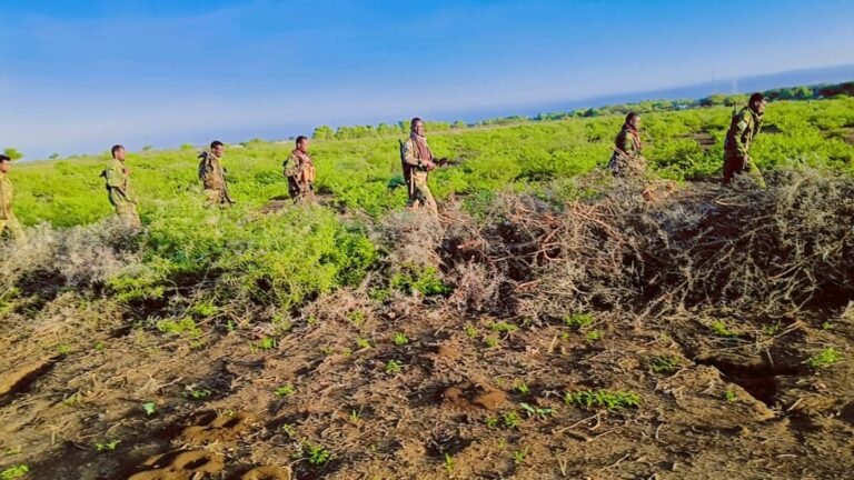{DAAWO SAWIRADA } Doowladda oo Guulo Ka Sheegatay Hoowlgal Ka Dhacay Gobalka Bay