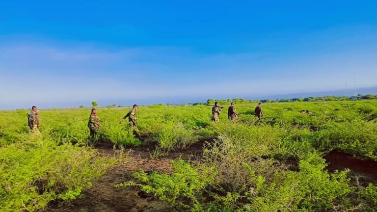 Doowladda oo Guula Ka Sheegatay  duullaan culus oo aay ku qaaday Deegaan Al Shabaab joogeen