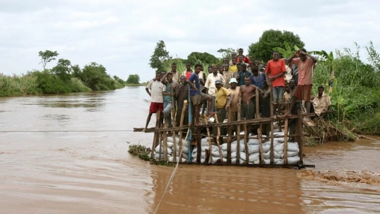 {DAAWO MUUQAALKA} Dad ku dhintay doon ku qallibantay meel u dhaw Jowhar oo la baadi goobayo.