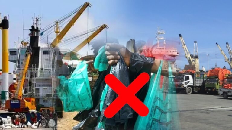 {DAAWO MUQAALKA} Dowlada Somalia oo dekedaha dalka ka Mamnuucday..