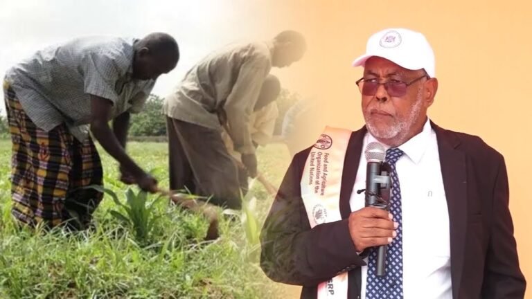 {DAAWO MUUQAALKA} Dowlada Soomaaliya oo Beeraleeyda ugu baaqday in la kordhiyo Tacabka Beeraha.