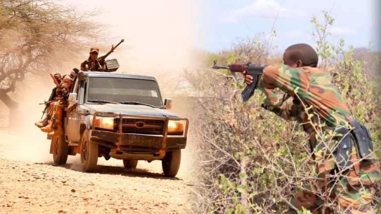 {DAAWO MUUQAALKA}  Dowladda Soomaaliya oo War ka soo saartay Hawlgallo ka dhacay Gobolka Shabeellaha Dhexe