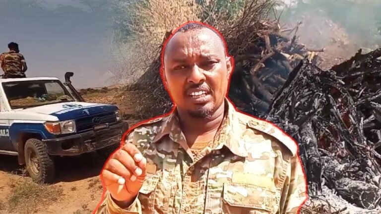 {DAAWO MUUQAALKA} Ciidanka Khaatumo oo Tallaabo ka qaadey dad ka ganacsada dhuxusha