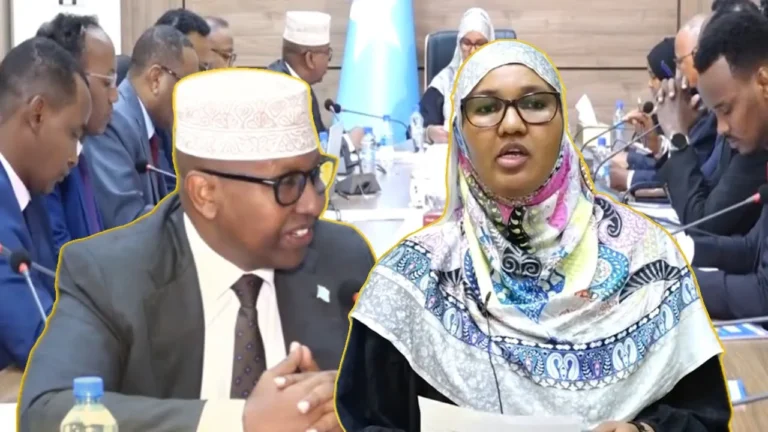 {DAAWO MUQAALKA} Guddiga Arrimaha Golaha Dibadda Aqalka Sare oo kulan su’aalo weydin ah la qaatay Axmed maclin fiqo.