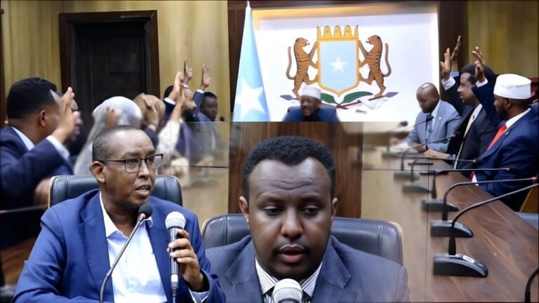 {DAAWO MUUQAALKA} Gudiga warfafinta isgarsiinta hidaha iyo dhaqanka oo muqdisho ku doortay Gudomiyaha gudiga &xogahaya