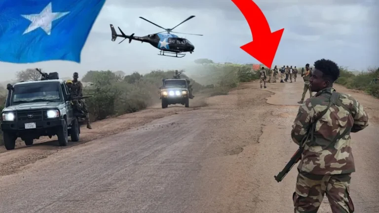 {DAAWO MUQAALKA} Holwlgalo qorsheysan oo laga fuliyay inta badan 10 tuulo oo ka tirsan gobolka Shabeellaha Hoose