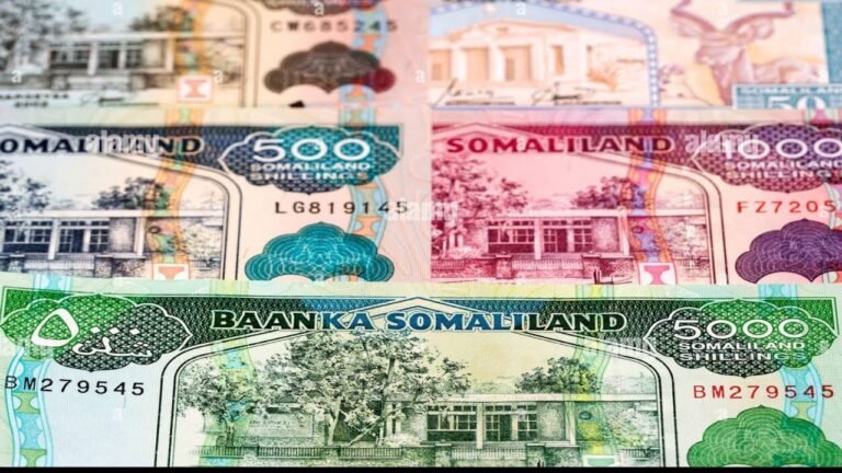 {DAAWO MUUQAALKA} Lacag lagu qalqal Gilinaayo Doorashada Somalilan oo la Daabacay