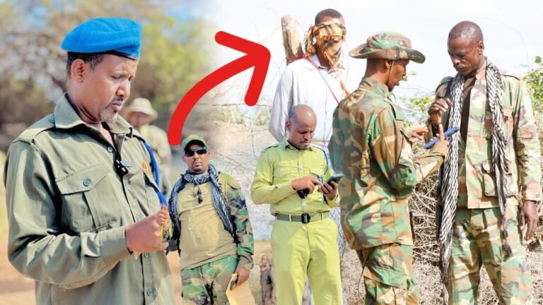 {DAAWO MUUQAALKA} Maamulka KGS oo dil toogasho ah ku fuliyay eedeysane horay dil u geystay.