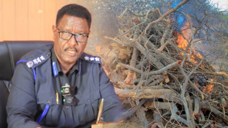 {DAAWO MUUQAALKA} Maamulka SSC Khaatumo oo gacanta kusoodhigay rag ka ganacsanayay dhuxusha.