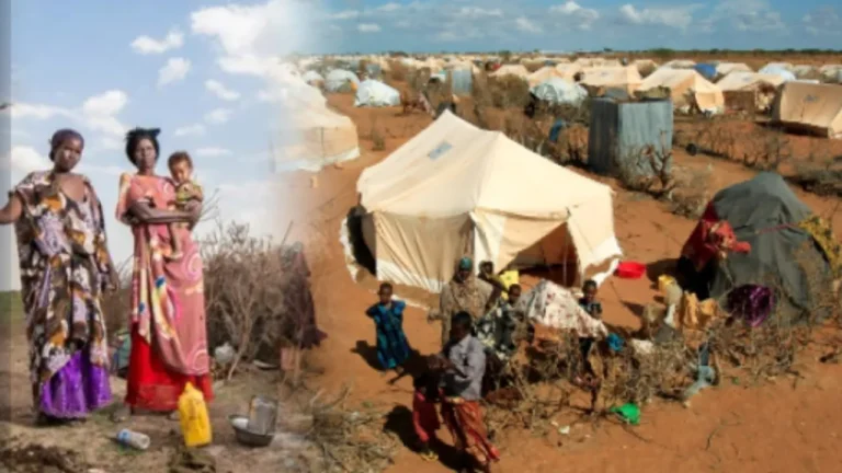 {DAAWO MUQAALKA}  Mareykanka oo dib u dejin u sameynaya qaxooti farabadan oo jooga…