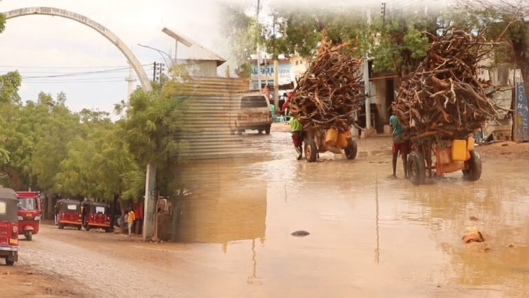{DAAWO MUUQAALKA} Maxaa qasaaro ah oo ka dhashay Roobabkii ka Da’ay Baladweyne