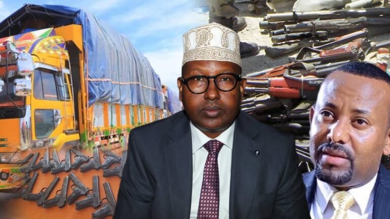 {DAAWO MUUQAALKA} Maxay kala yihiin eedeeymaha uu Xildhibaan Abiib u jeediyey Muuse Biixi.?