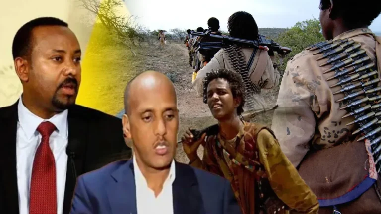 {DAAWO MUUQAALKA} Mowqifyada is-diiddan ee ONLF iyo DDS ee wada-hadalka Itoobiya – Maxaa cusub?
