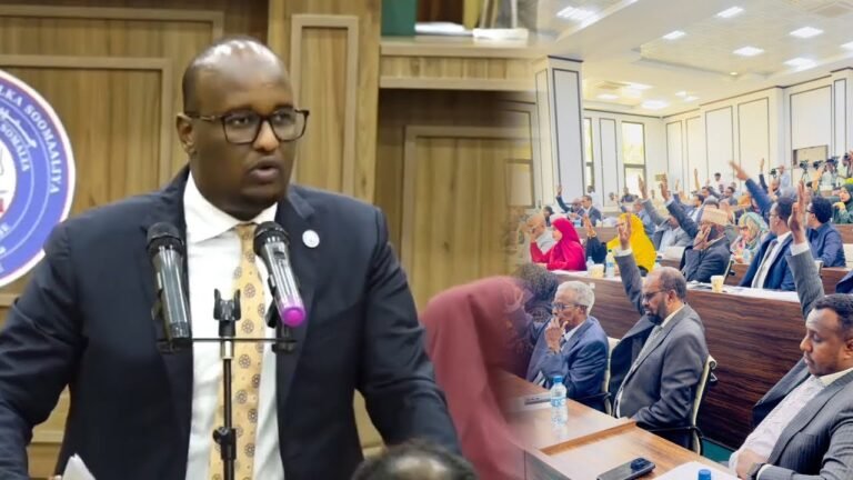 {DAAWO MUUQAALKA} Senator Aadan Cabdinaasir “Qofkii ka been-sheega naafanimada waxaan qabaa inuu ku muteysto Maxkamad