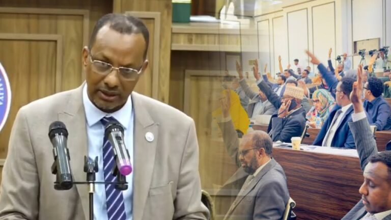 {DAAWO MUUQAALKA} Senator Xasan “Sharcigaan hadii aan ansixino malaayiin qof ayaa ka faaidi Doonto”
