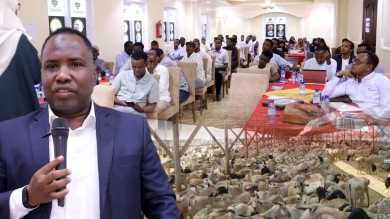 {DAAWO MUUQAALKA} Shir ku saabsan habka maareynta xogta ee dhinaca cudurada faafa oo Muqdisho lagu qabtay.