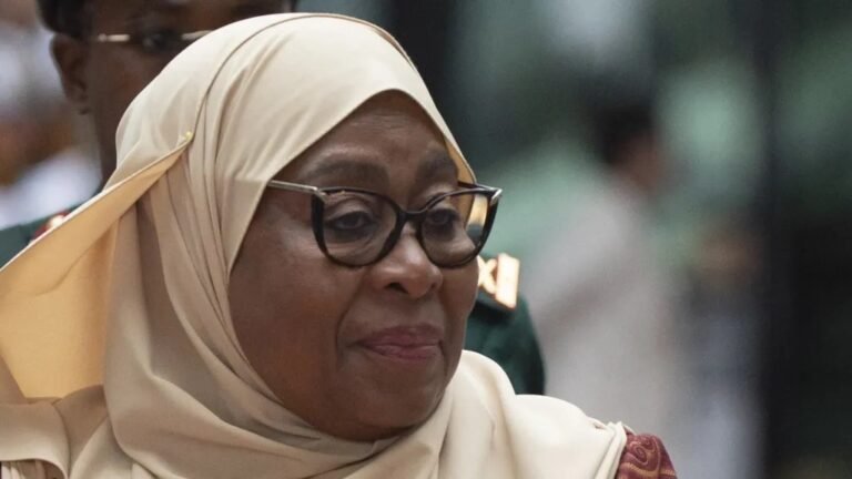 Tanzania news sites banned over animation deemed critical of president.