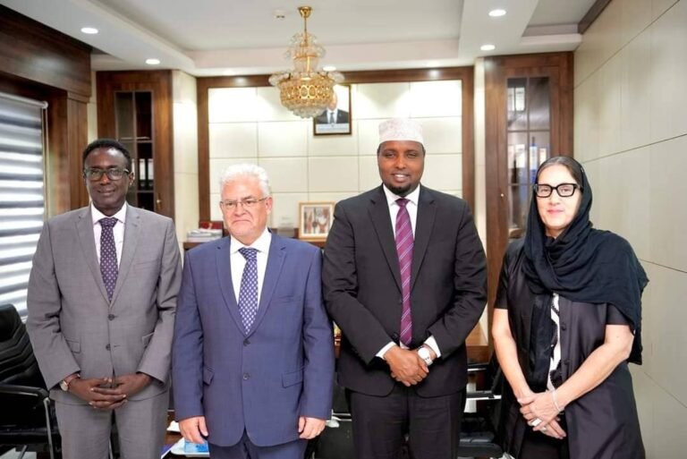 {DAAWO SAWIRADA} Wasiirka Qorsheenta iyo Ku Xigeenka UNDP oo Kulmay