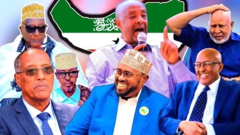 {DAAWO MUQAALKA}Wasiirka Maxamed Kaahin “Shirkii Ceel-Afwayn waxaa lagu gawracaayay Sandalada Habar-jeclo””