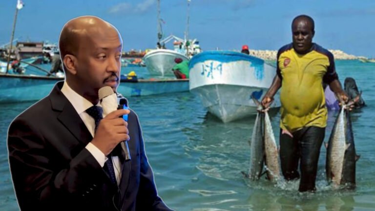 {DAAWO MUUQAALKA}  Waxaan Ganacsatada Soomaaliyeed ku dhiirigalinaynaa in maalgashadan kaabayaasha Kalluumaysiga.