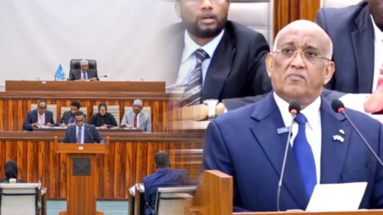 {DAAWO MUUQAALKA} Waxaan ugu mahad-naqayaa Guddoomiye Aadam Madoobe marti qaadka uu inoo fidiyay.