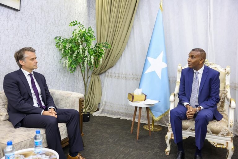 {DAAWO SAWIRADA} Ra’iisul Wasaare Xamse oo Muqdisho kula Kulmay Wafdi Ka socday Jarmalka