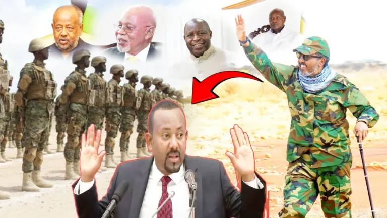 {DAAWO MUUQAALKA} Xasan Sheekh oo gobolka ka billaabay qorshe go’doon siyaasadeed lagu gelinayo Itoobiya