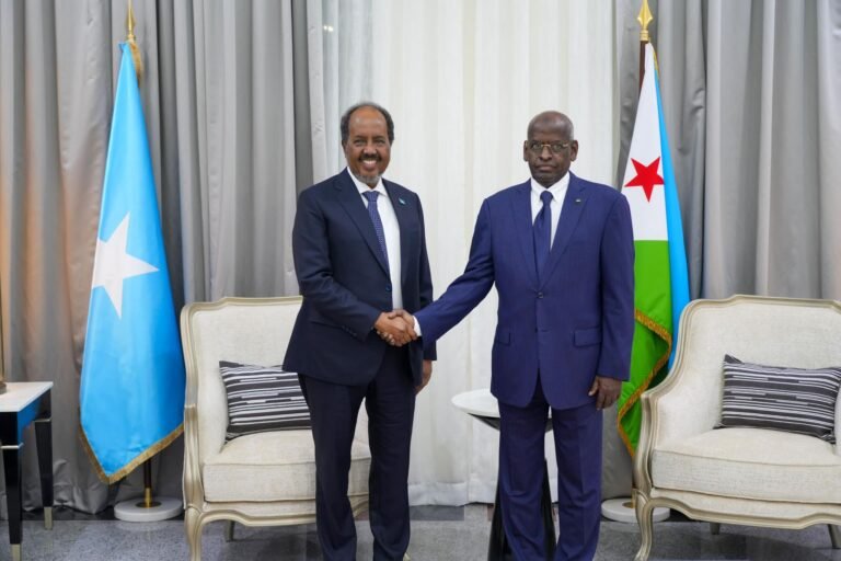 {DAAWO SAWIRADA} Madaxweynaha Soomaaliya iyo wafdi uu hogaaminayo oo caawa gaaray Dalka Jabuuti.