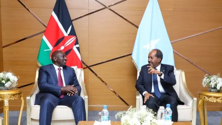 Maxeey Kawada Hadleen Madaxweyne Xasan iyo William Ruto?