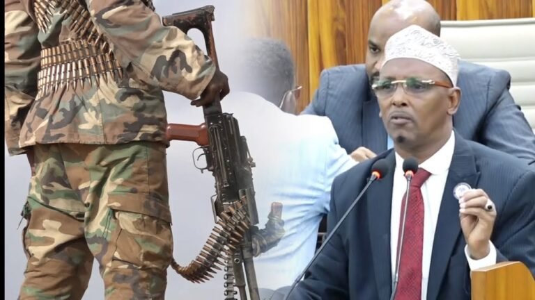 {DAAWO MUQAALKA}Yaan la ansixin Miisaaniyadda sanadka 2025,hadii aan Askariga lacag loo kordhineyn”Xildhibaan Jesoow