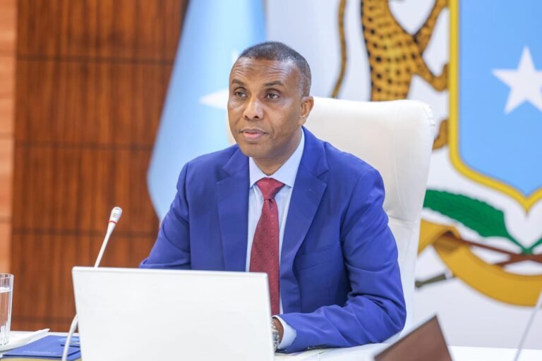 Somali Prime Minister reshuffles cabinet, appoints new ministers