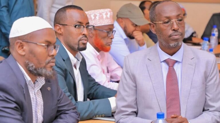 {DAAWO MUUQAALKA} Guddoomiyaha Madaale oo sheegay in soo dhawaynayaan cid kaste oo Maalgashanayso Caasimadda.