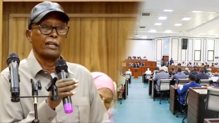 {DAAWO MUQAALKA} Senator Cabdi Qeybdiid”Dastuurkii ayaan lagu mideysneyn oo qof walba daba ka haystaa”