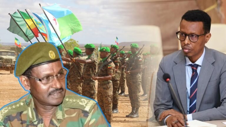 {DAAWO MUUQAALKA} Dowladda Soomaaliya oo Cadeeysay Cidda iska leh Go’aanka wadamada kamid noqonaya Howlgalka Cusub.