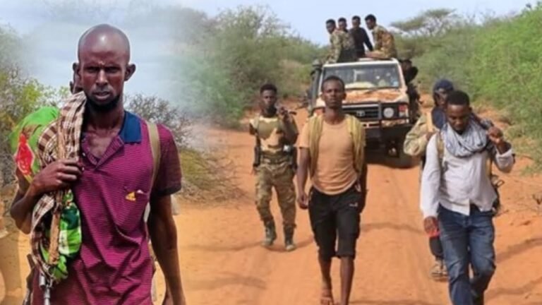 {DAAWO MUQAALKA}  Xuska Calanka mid ka mid ah beelaha Soomaaliyeed oo lagu qabtay Magaalada Muqdisho.