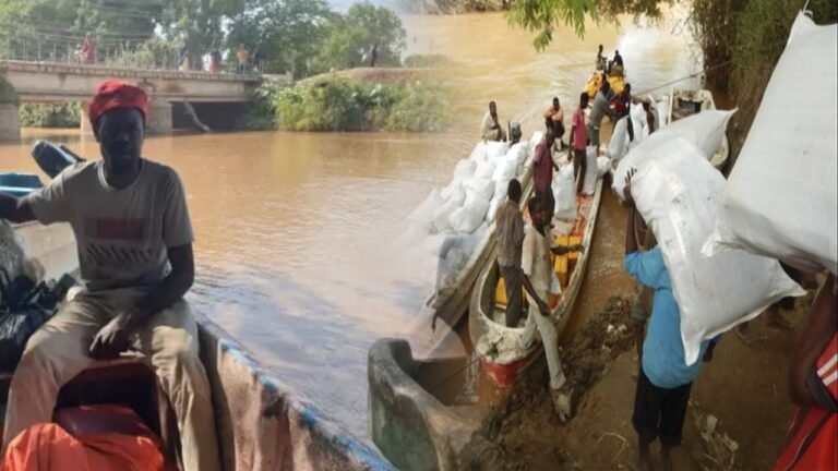 {DAAWO MUUQAALKA}  Dad ku dhintay doon kula gadoontay Duleedka jowhar