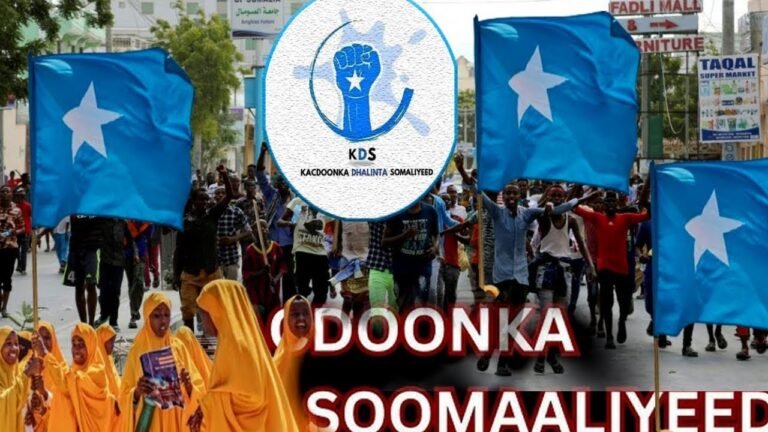 {DAAWO MUUQAALKA} Shirweynaha 5-aad ee hoggaanka iyo hal abuurka dhallinyarada Soomaaliyeed oo Muqdisho ka furmaya.