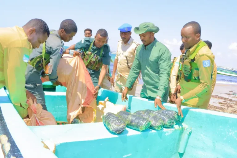 {DAAWO SAWIRADA} Doon lagu Waday Maandooriye tiro badan oo gacanta lagu dhigay