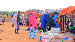 {DAAWO MUUQAALKA} Waa Sidee Dhaq dhaqaaqa Ganacsi ee Deegaanka Xalfooleey ee Gobolka Hiiraan.?