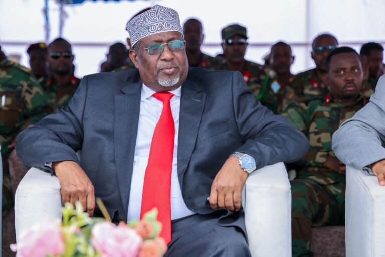 Speaker of the House of the People chairs extraordinary session of Standing Committee.