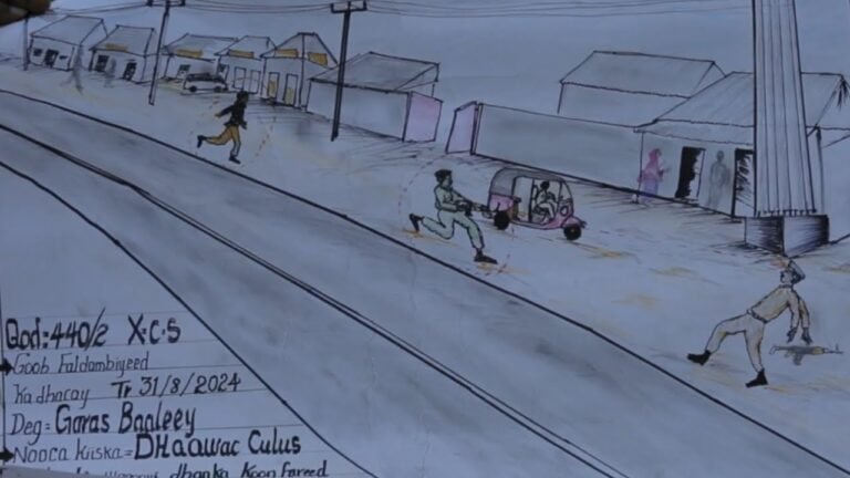 {DAAWO MUQAALKA} Baaris Loo sameeyay qaab Farshaxan ah oo Lagu Ogaaday Askari Dilay Askari kale