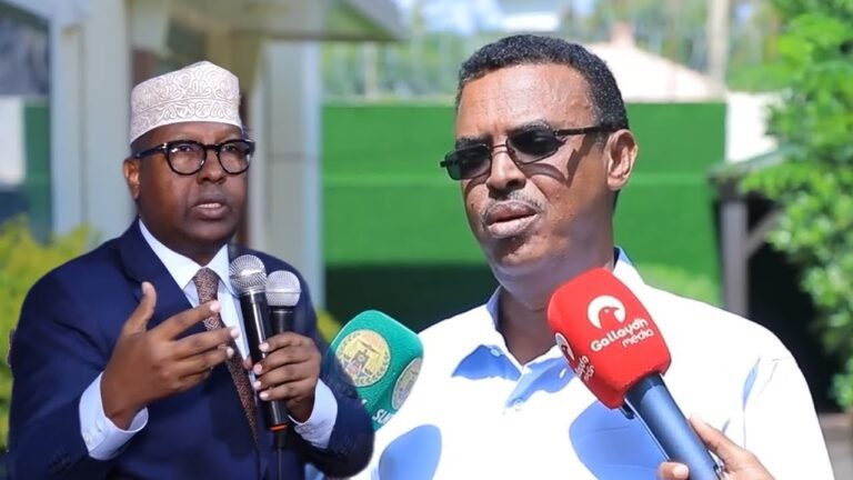 {DAAWO MUQAALKA} Cali Mariixaan oo u jawaabay Wasiir Fiqi