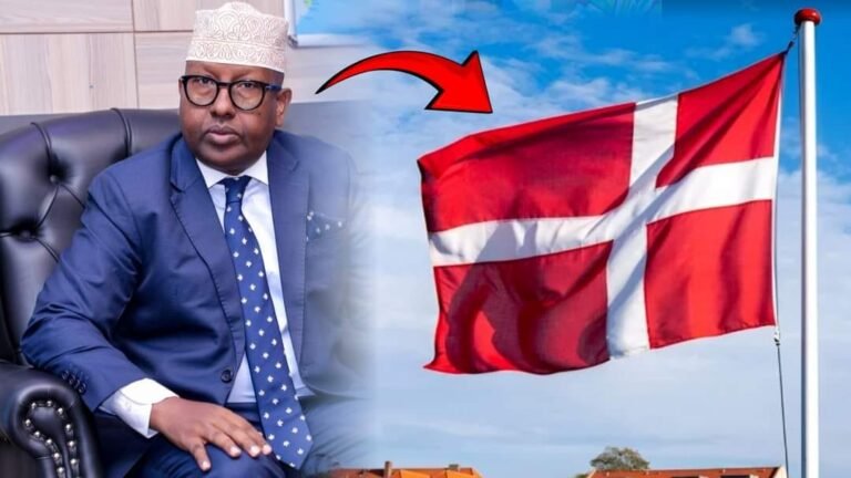 Dowladda Denmark oo ka falcelisay hadalkii wasiirka arrimaha dibadda Soomaaliya.